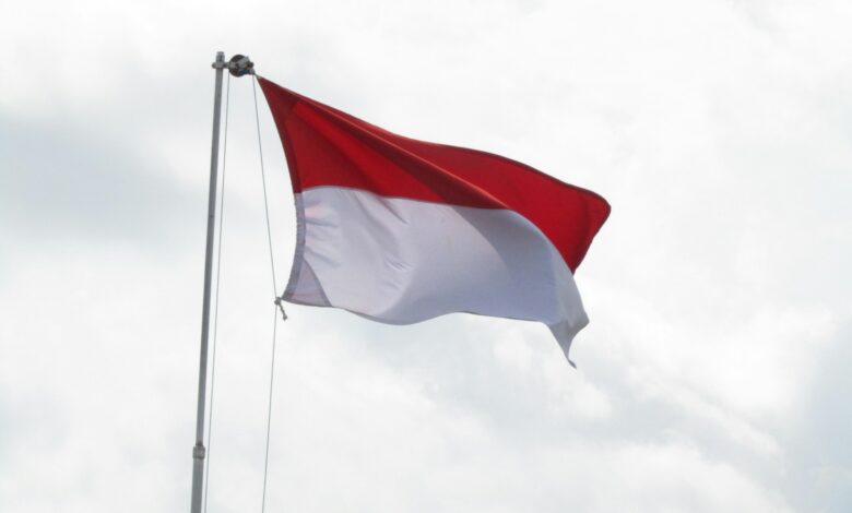 red and white flag under white clouds
