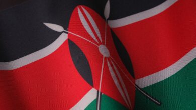 a close up of a flag of the country of kenya