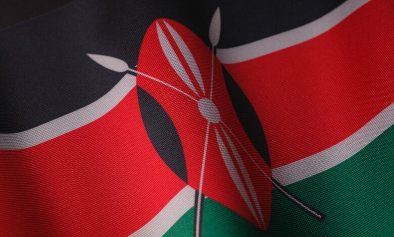 a close up of a flag of the country of kenya