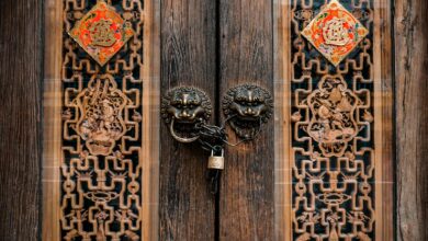 A decorative wooden door with ornate carvings and a padlock, showcasing traditional design.